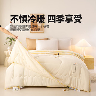 晚安家纺加厚保暖子母被大豆纤维冬被二合一被子春秋被被芯抑菌被