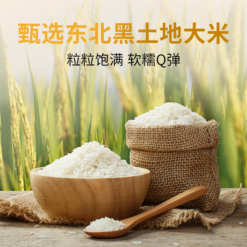 乐肴居三角饭团1050g 10枚 紫米肉松味 日式烤肉饭团儿童早餐微波加热