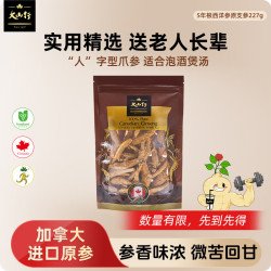 大山行 西洋参泡参粒头礼盒 加拿大特级花旗参 老人领导父母 人字号爪参泡参220g 袋装