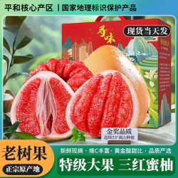 鲸咚 福建平和红心蜜柚 9-10斤