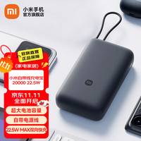 小米 Xiaomi MI）自带线充电宝20000 22.5W 移动电源 可上飞机USB-C 双向快充 22.5W大功率 深灰色