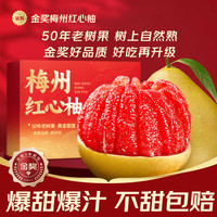 沐小七果蔬 正宗梅州红心蜜柚柚子   特级果4.5-5斤礼袋装丨2个