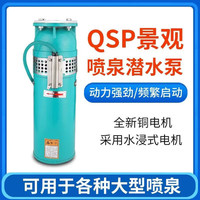 CTT 音乐喷泉潜水泵 QSP40-16-3 铸铁 380V