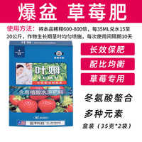 深邦 DEEPBANG ZCP 树脂花盆 大 草莓专用肥