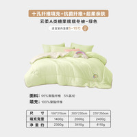 罗莱家纺A类抗菌纤维被十孔透气柔软四季被子 糖果糯糯 绿色 200*230cm