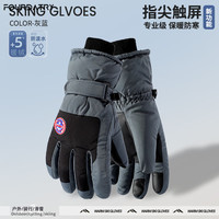 FOURDATRY冬季保暖男女户外骑行电动车防风防寒加绒加厚防水可触屏滑雪手套 深灰【款式1531】男款 均码