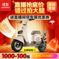 宝岛电动车 BODO 宝岛 电动自行车N18锂电48V24Ah星恒锂电长续航80km豪华外观代步首选 塔夫白