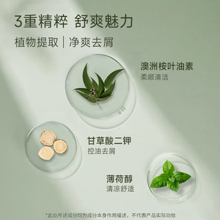 菲诗蔻桉树洗发水去屑控油洗头膏露女洗护套装氨基酸 300ml