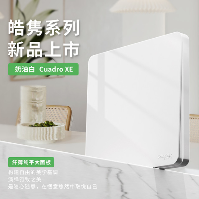 施耐德电气 Schneider Electric 施耐德 A3XE426_10FS_WE_CI 开关插座面板 1只 奶油白