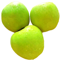 京鲜生烟台青森水蜜桃苹果 大果净重3斤200g 3斤包装 大果、4斤装