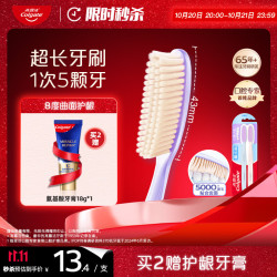 Colgate 高露洁 70孔超长头牙刷成人牙刷2支紫色