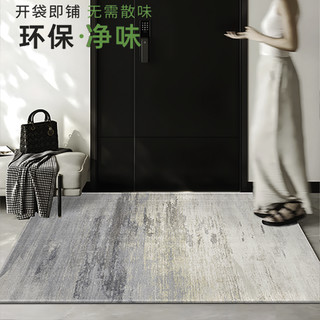 羊贵妃（YANGGUIFEI）入户地垫客厅门垫简约现代门口地垫家用脚垫进户门轻奢垫子 交错空间 曙光 100*180