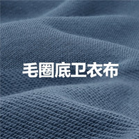 佐丹奴卫衣男女简约休闲上衣纯色虾须线圆领套头衫 51雪花霜灰 L