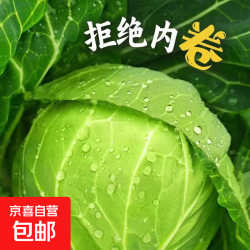 农户自种 国产新鲜绿甘蓝 5斤