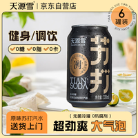 天源雪 SKYRAIN 无糖苏打水气泡水*6罐