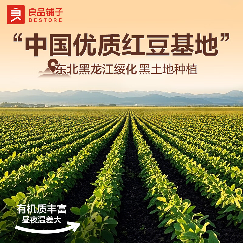 全麦椰香红豆卷800g