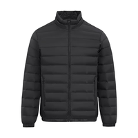 雪中飞 SNOWFLYING2024男式立领秋羽绒百搭轻薄鸭绒立领修身轻盈隐藏式口袋 宝石黑|8086 180/100A