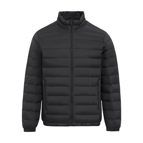 今日必买：雪中飞 620+蓬松度百搭轻薄鸭绒立领羽绒服