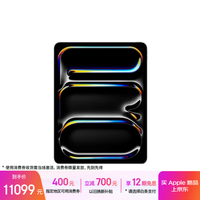 苹果 Apple iPad Pro 2025款 13.0英寸 平板电脑（Apple M5、256GB、WLAN版、深空黑色）