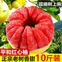 思卓 红心蜜柚 4.25-4.5kg