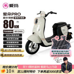 爱玛 电动自行车爱朵48V24Ah锂电长续航豪华复古电动车
