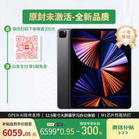 苹果 Apple iPadPro M1 12.9英寸第5代原封未激活M1芯片支持AI 苹果官方认证翻新 2021蜂窝1TB欧版灰