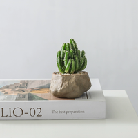 墨一万重山盆栽红太阳多肉植物书房室内桌面懒人好养绿植花卉盆景 万重山+海岛礁石盆