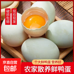 鸭蛋新鲜生鸭蛋土鸭蛋农家散养绿壳青皮鸭蛋整箱批发 10枚 50g-60g