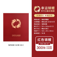 Nakabayashi 仲林 NCL 6寸600张插页式相册本家庭影集创意4R相册儿童纪念像册大容量