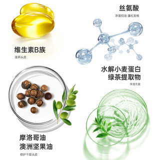  SHEVEU/赛逸 控油去屑 防脱洗发水  375ml*2