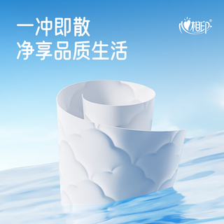 心相印湿厕纸 云熊系列40片*10包 可杀菌湿纸巾 搭配卷纸使用 家庭装 40片*10包 热销