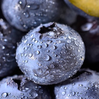 88VIP：寻天果蔬 云南蓝莓正宗国产新鲜蓝莓王巨无霸当季水果自带花香整箱大果
