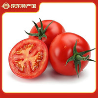 静益乐源 攀枝花沙瓤西红柿 2500g单果80g+