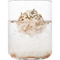 1号会员店 One's Member 一号店咖啡渣小苏打豆腐膨润土混合猫砂 10kg