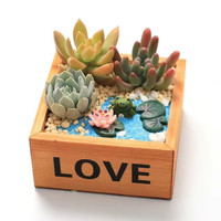 花艺萌多肉植物组合盆栽含盆含土创意diy拼盘花盆肉肉植物室内绿植花卉 黄色love木盒（青蛙） 含盆