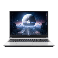 七彩虹 隐星P16 TA i7-13650HX RTX4060 白色 32GB+1TB 游戏本