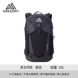 GREGORY 格里高利 IMPULSE 男子旅行背包 20L