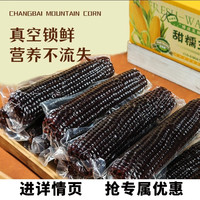 玉颜色 东北黑糯玉米10根甜糯苞米黑玉米早餐真空包装即食黏玉米香甜软糯