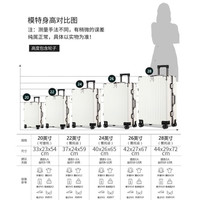 Double Star/双星 加厚箱体可坐可骑 铝框行李箱 26英寸 住宿返校 气质银