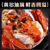 【活蟹】（网兜蟹）兴化大闸蟹生鲜活螃蟹海鲜水产足斤足两 公母混搭3斤装（约15-20只) 保底5只母蟹
