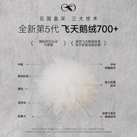 高梵黑金鹅绒服5.0抱抱四格短款2025女士连帽时尚休闲户外羽绒服 黑色 M