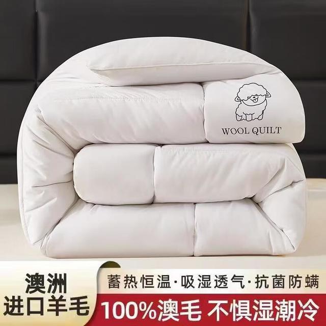 江南生活 southern life 澳洲A类100%纯羊毛被4斤 150*200cm