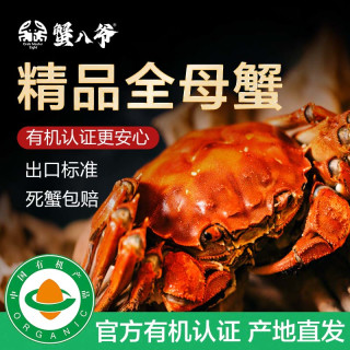 蟹八爷 大闸蟹全母3两-3.3两 8只装