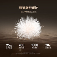 坦博尔羽绒服女马甲95波兰鸭绒布朗尼休闲外搭坎肩百搭外套TB5520150Z 臻奢咖啡 M 165/88A