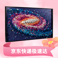 LEGO 乐高 艺术生活系列银河系31212积木玩具男女孩生日礼物家居装饰