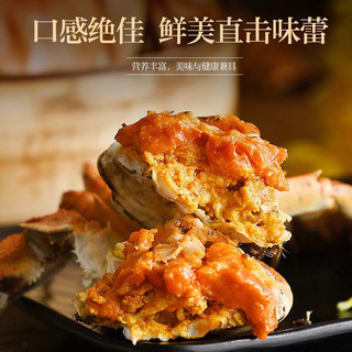 【活蟹】蟹八爷 大闸蟹全母3两-3.3两 8只装 螃蟹鲜活海鲜生鲜礼盒 源头直发 全母蟹3两-3.3两 8只装