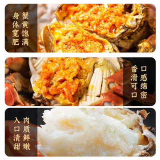 【活蟹】蟹八爷 大闸蟹全母3两-3.3两 8只装 螃蟹鲜活海鲜生鲜礼盒 源头直发 全母蟹3两-3.3两 8只装