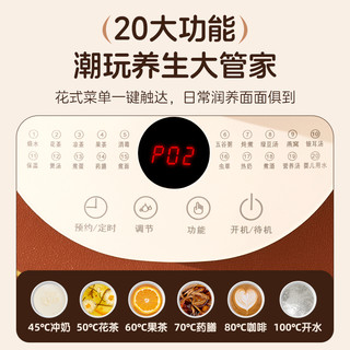 志高 烧水炖煮一体 养生壶