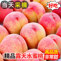 采缇 CAITI 采缇 河北春雪水蜜桃 5斤 中果