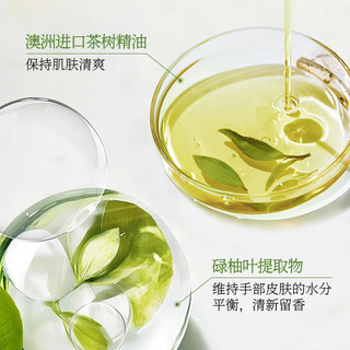  ACCEN/澳雪 舒爽保湿 洗手液